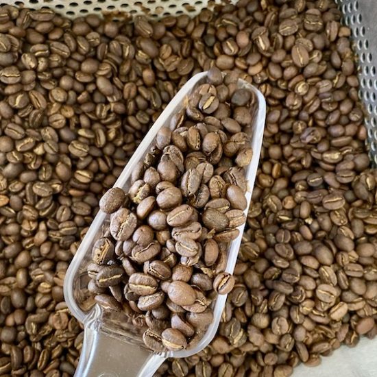 Artisan roasted coffee beans are scooped from The Shed Coffee's micro-roaster.